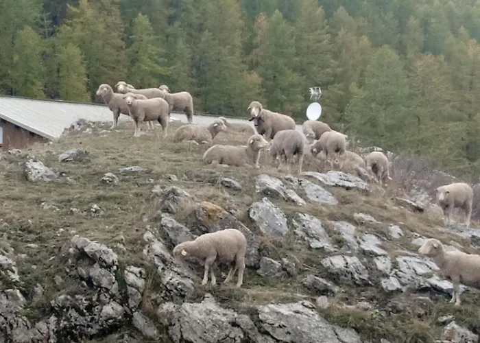 Residences De Melisa La Foux D\'Allos